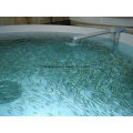 FRP or Fiberglass Fish Tank for Fish Farm - Aquaculture